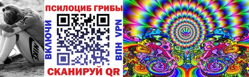 Купить закладки  Георгиевск  Галлюциногенные грибы Psilocybine cubensis 